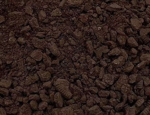 Oreo